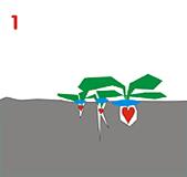 bioclean1