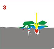 bioclean3