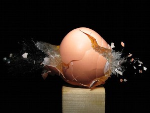 egg