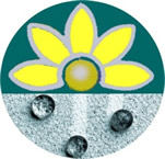 nanologo