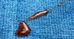 bild18